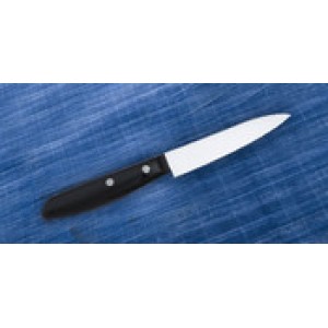 Fruit Knife (2)