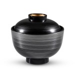 Brushed Silver Black Plastic Lidded Bowl