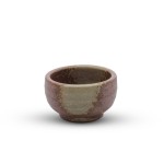 Kaiyu Brown Sake Cup