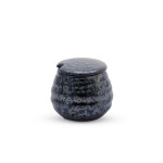 Black Moss Lidded Pot